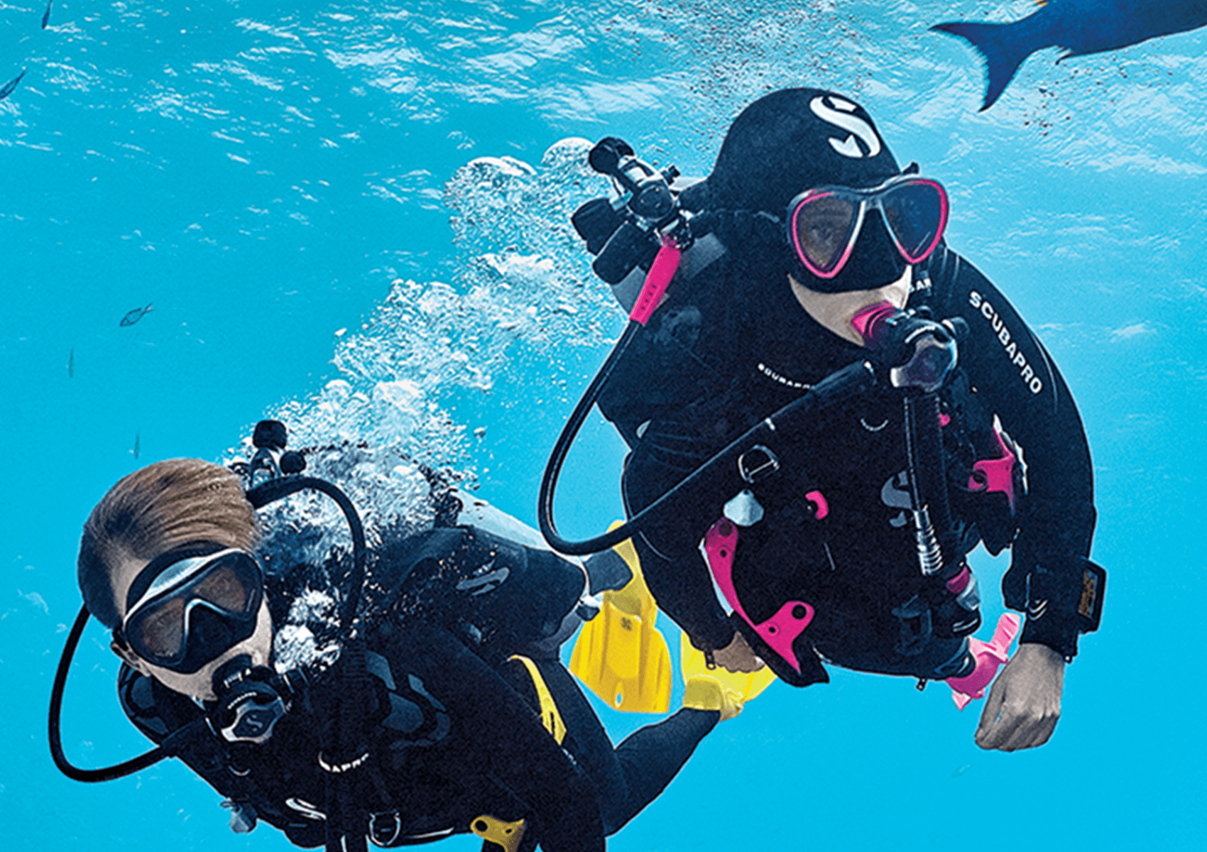 All-inclusive holidays arrive on the South Coast of KZN! 4 Blue Marlin DIVE4