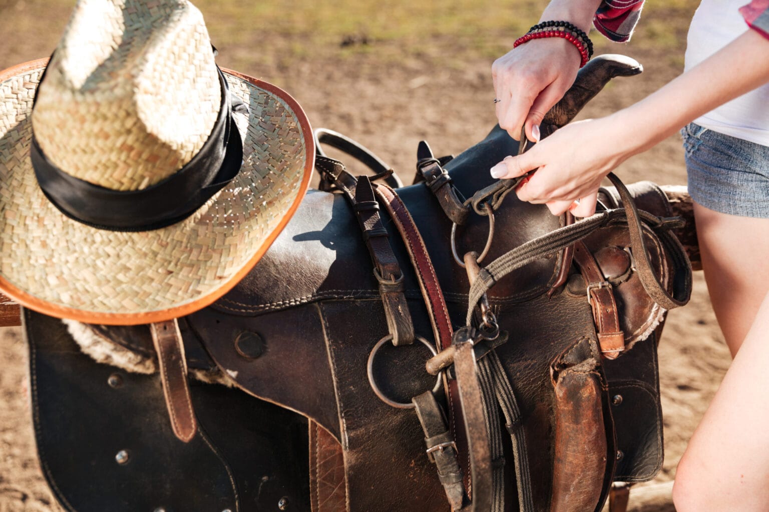 saddle prepared for horse riding by young woman co PM5TM4A