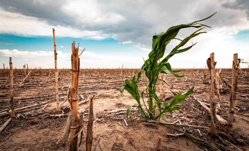 Partners brace to respond to one of the worst droughts in southern Africa 1 Picture1 3