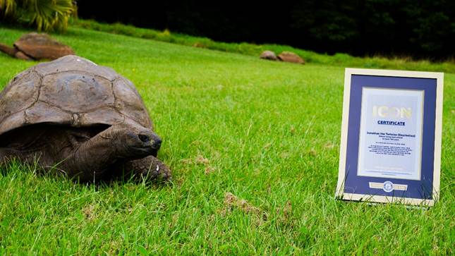 St Helena Welcomes Global Recognition as Jonathan Named a Guinness World Records ICON 2 image 1