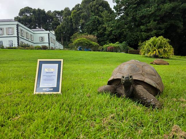 St Helena Welcomes Global Recognition as Jonathan Named a Guinness World Records ICON 1 image